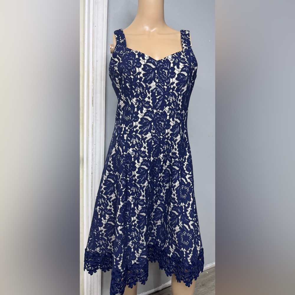 Roz & Ali Ivory and Navy Lace Dress